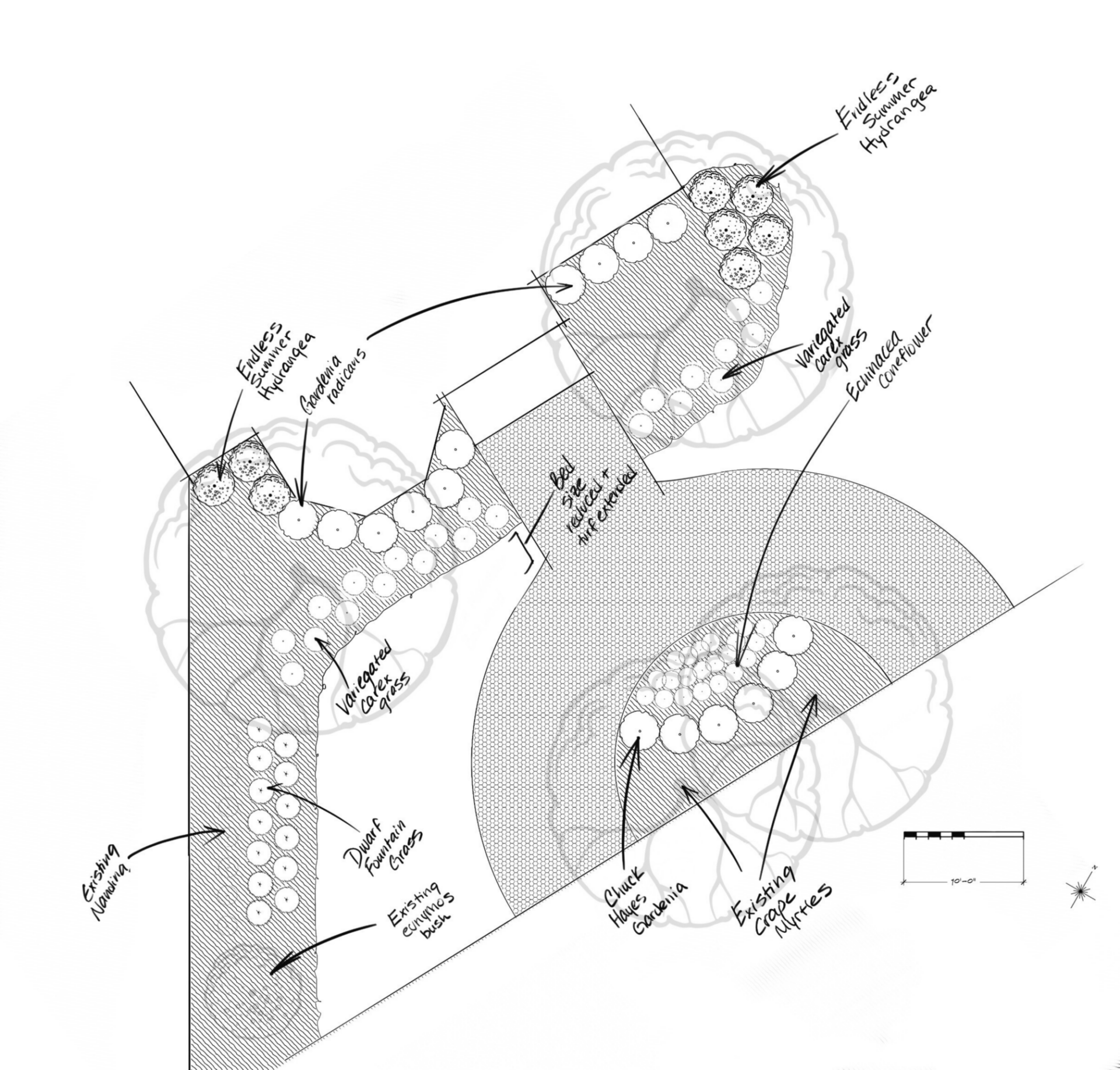 A detailed landscape plan with labeled sections for various plants, including hydrangeas, catmint, and boxwood, arranged in structured garden areas.