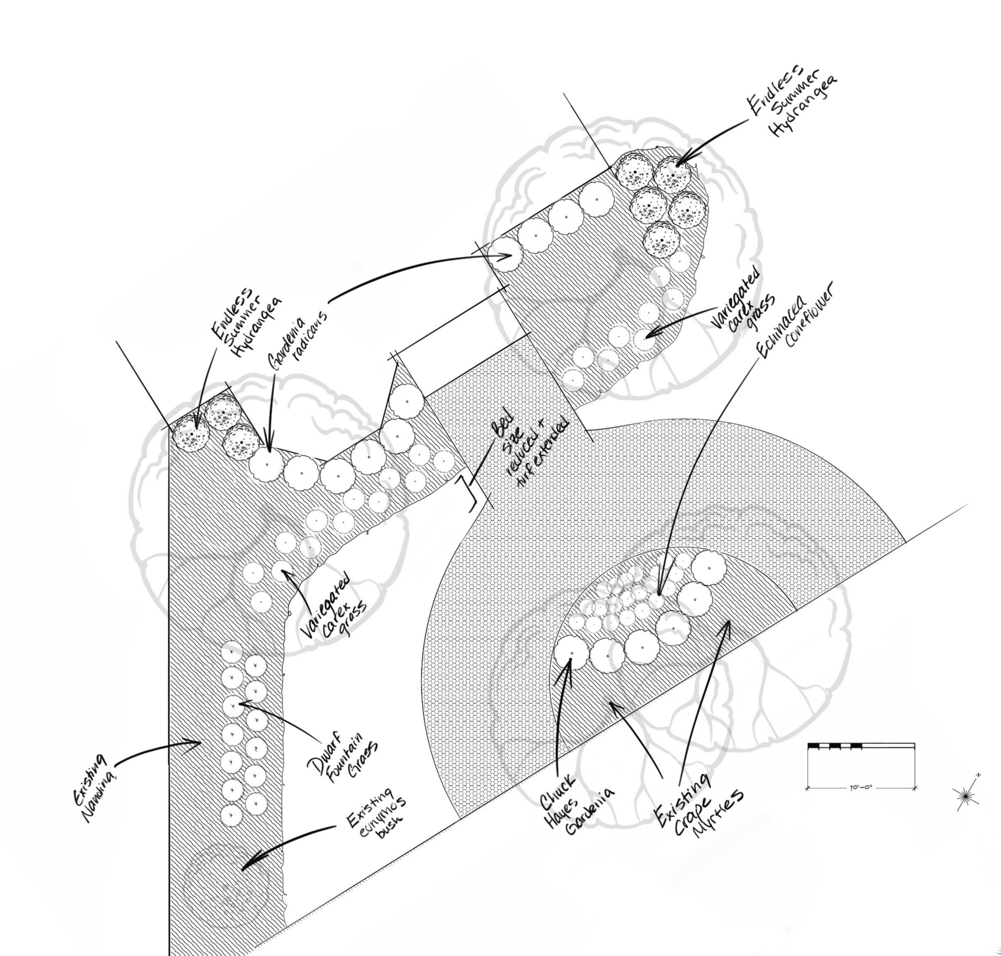 A detailed landscape plan with labeled sections for various plants, including hydrangeas, catmint, and boxwood, arranged in structured garden areas.