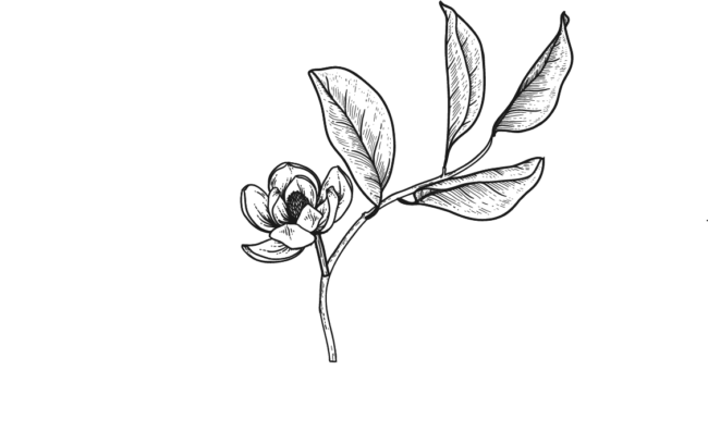 Terra_Forma-Logo_Light