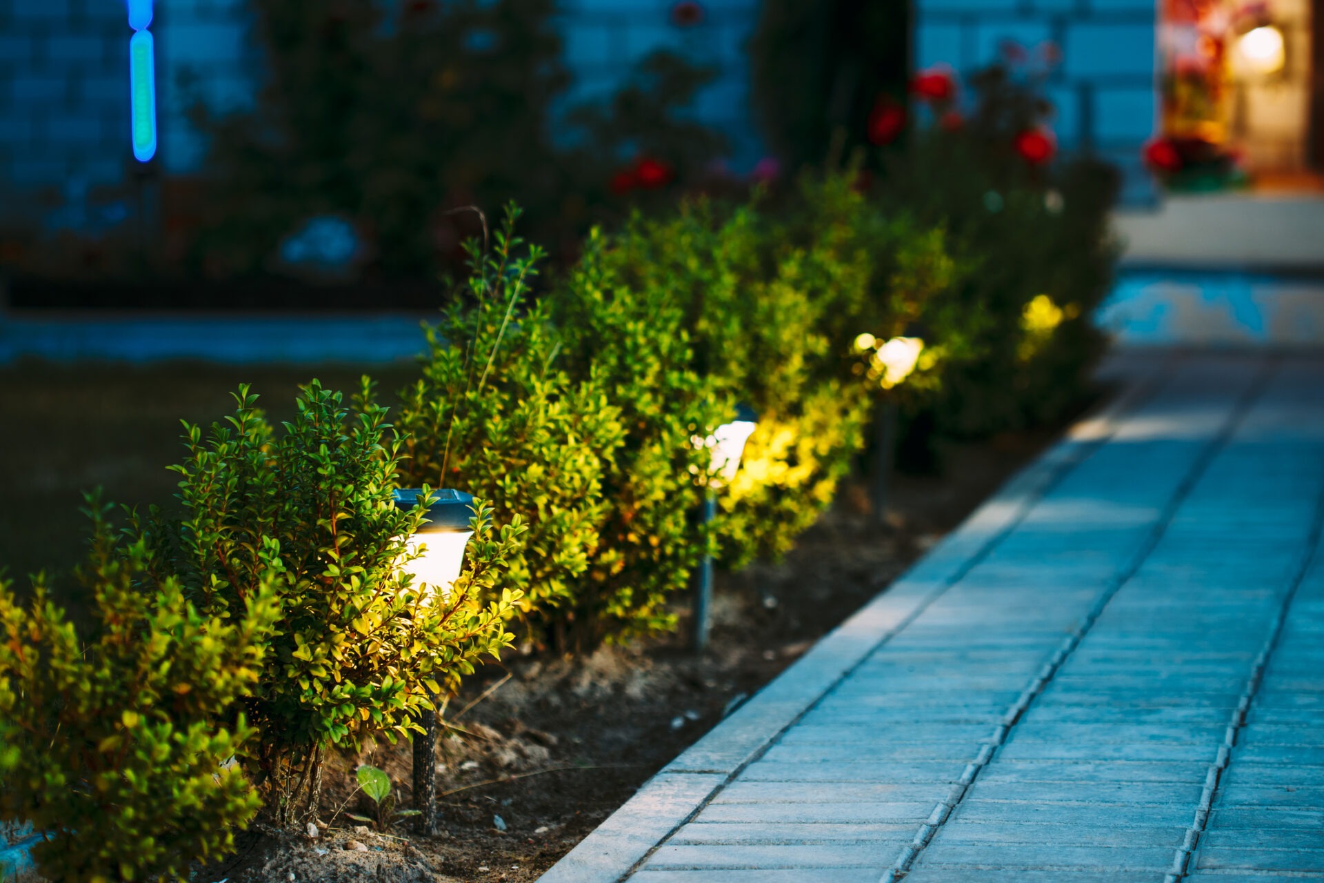 A well-lit garden path lined with small shrubs and solar lights, leading towards a building entrance in the evening.