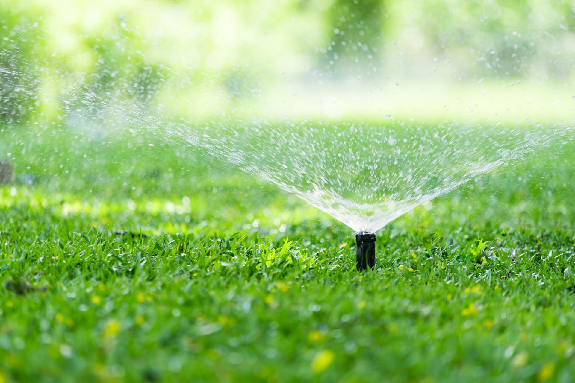 Sprinkler watering lush green grass, surrounded by blurred natural background. Water droplets spray evenly in an arc, creating a refreshing scene.