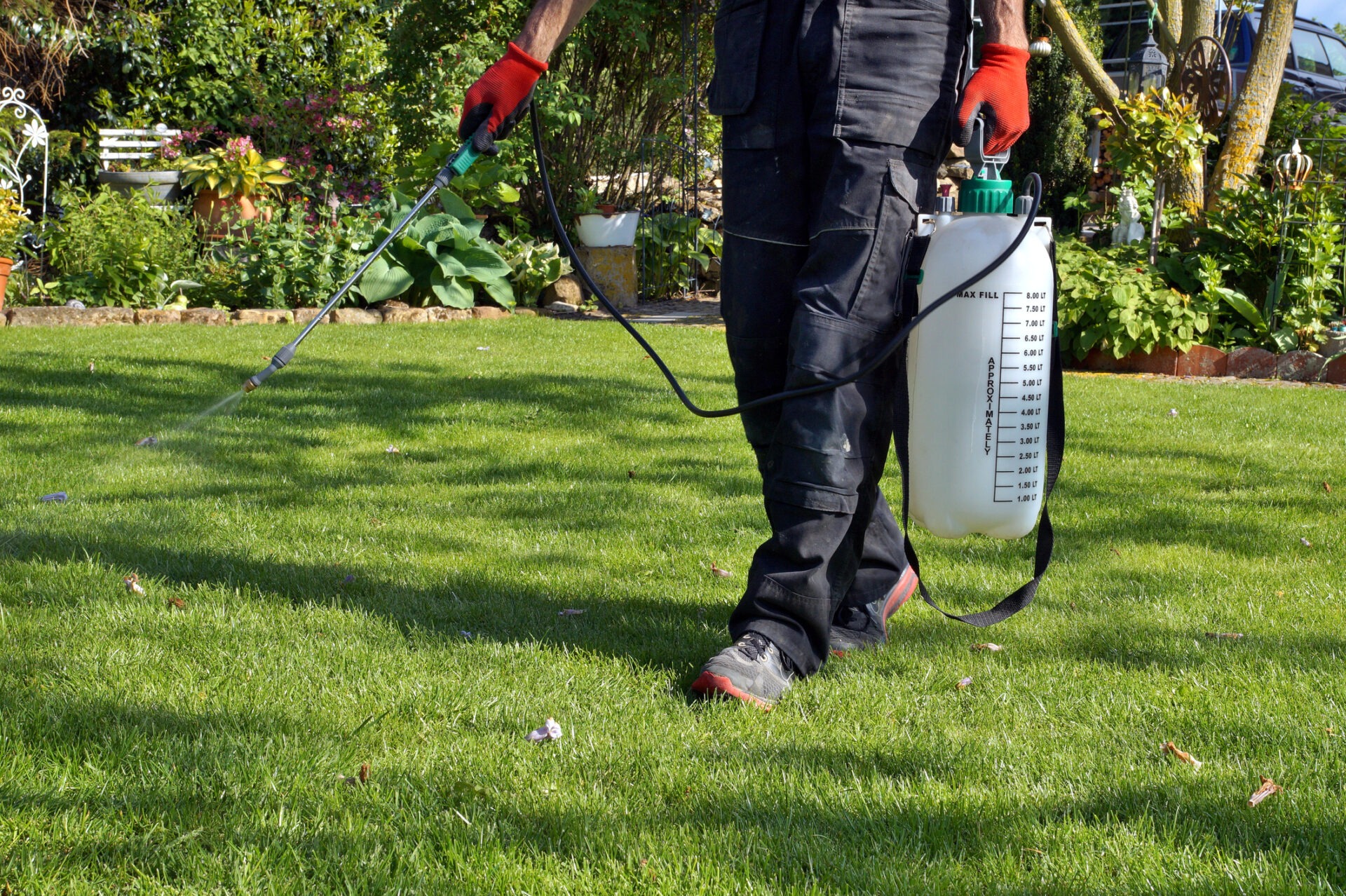 A person wearing gloves sprays a garden with a herbicide from a backpack sprayer on a sunny day, surrounded by lush greenery.