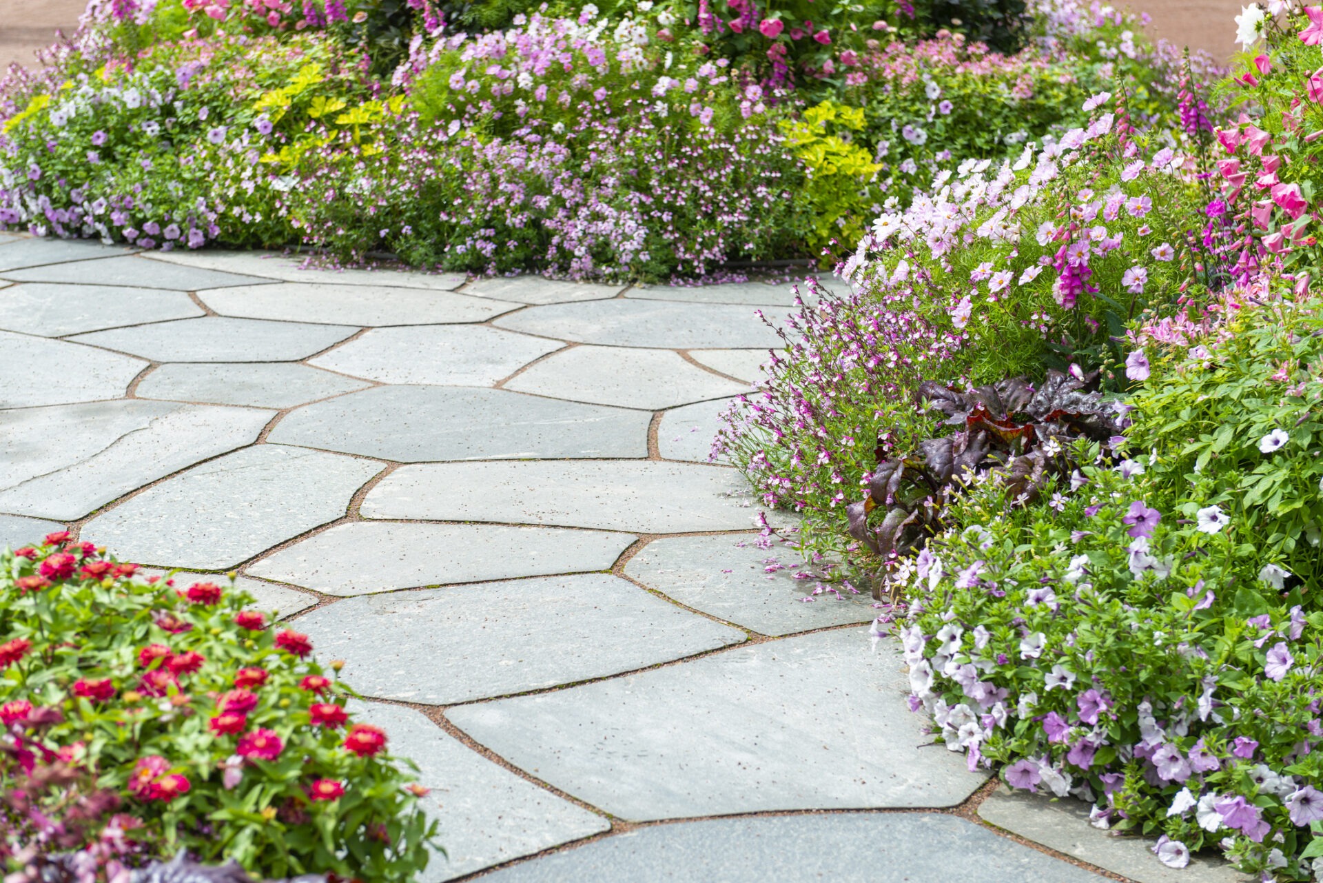 A stone pathway surrounded by vibrant flower beds, featuring colorful blooms and lush greenery, creates a picturesque garden setting.