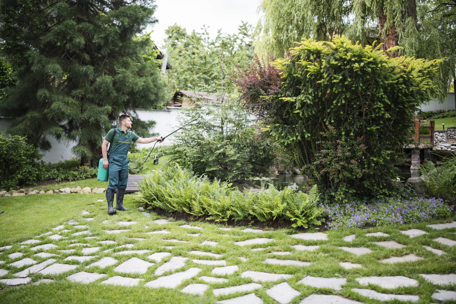 A person in green attire sprays plants in a lush garden, surrounded by stepping stones and various trees, enhancing the serene atmosphere.