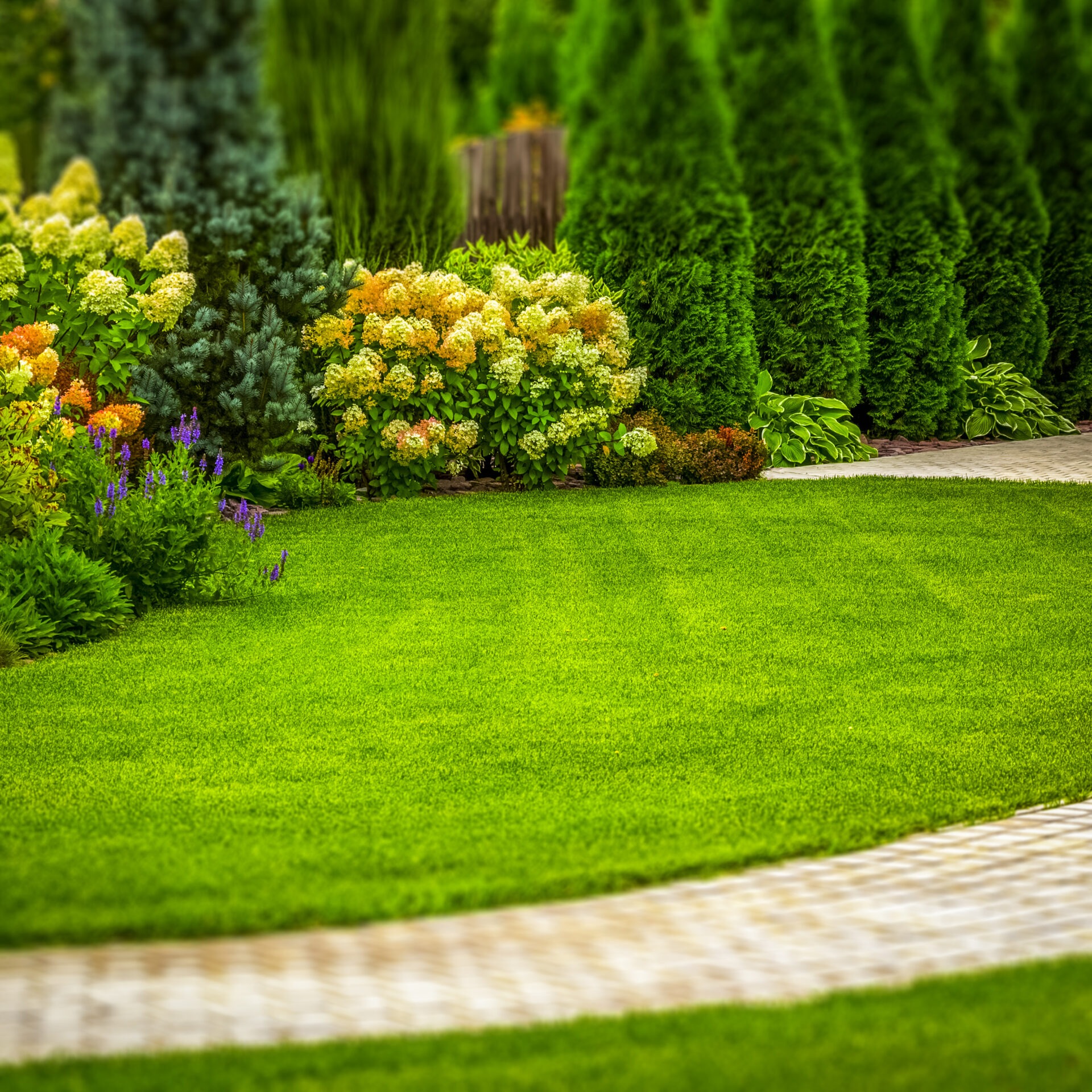 A lush garden with vibrant flowers and neatly trimmed hedges surrounds a paved path, creating a picturesque, serene outdoor setting.