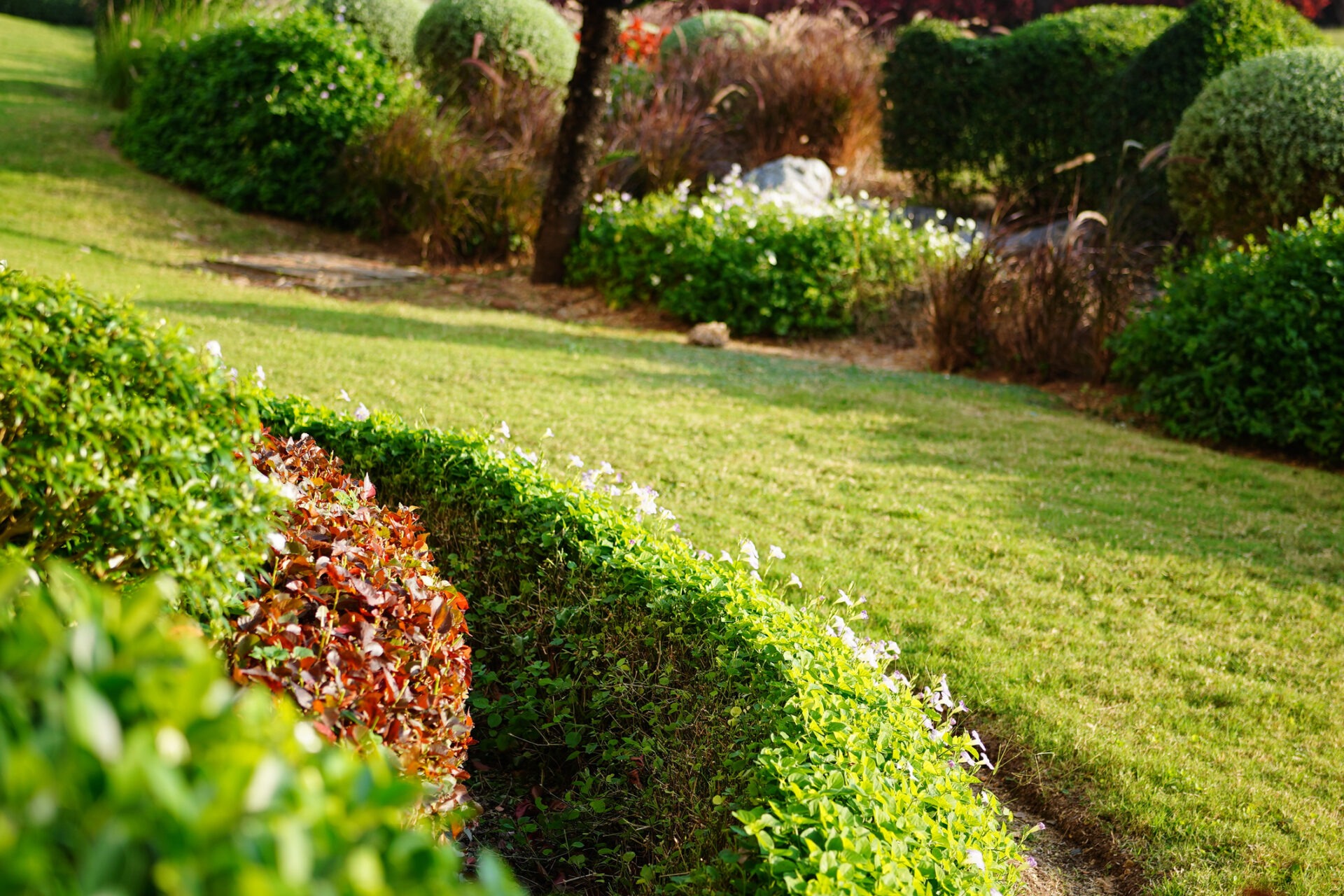 A well-manicured garden with neatly trimmed hedges, flowering shrubs, and lush grass, featuring various shaped bushes and natural landscaping.