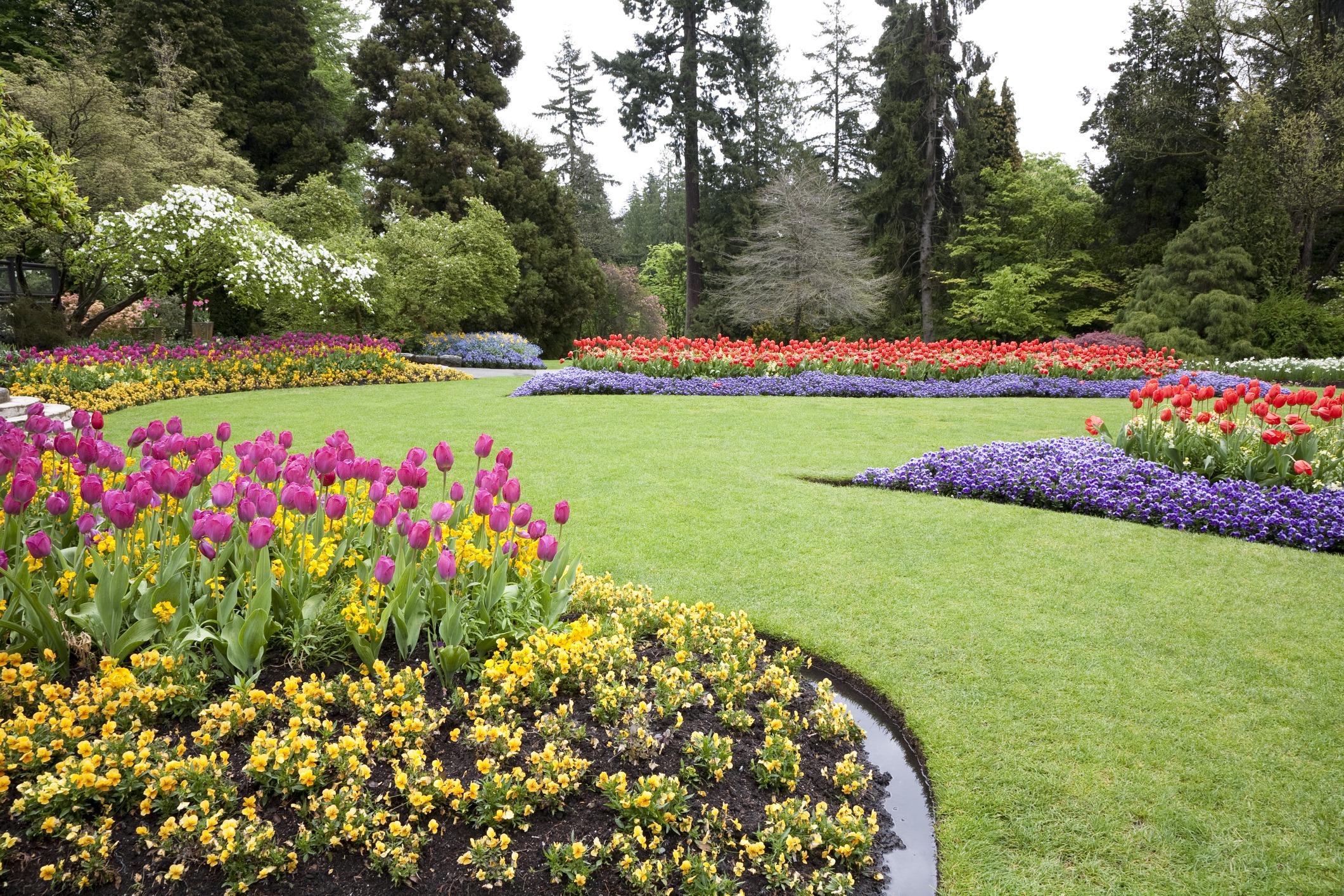 A large, colorful garden features vibrant tulips and flowering plants, surrounded by tall trees and lush greenery under a cloudy sky.