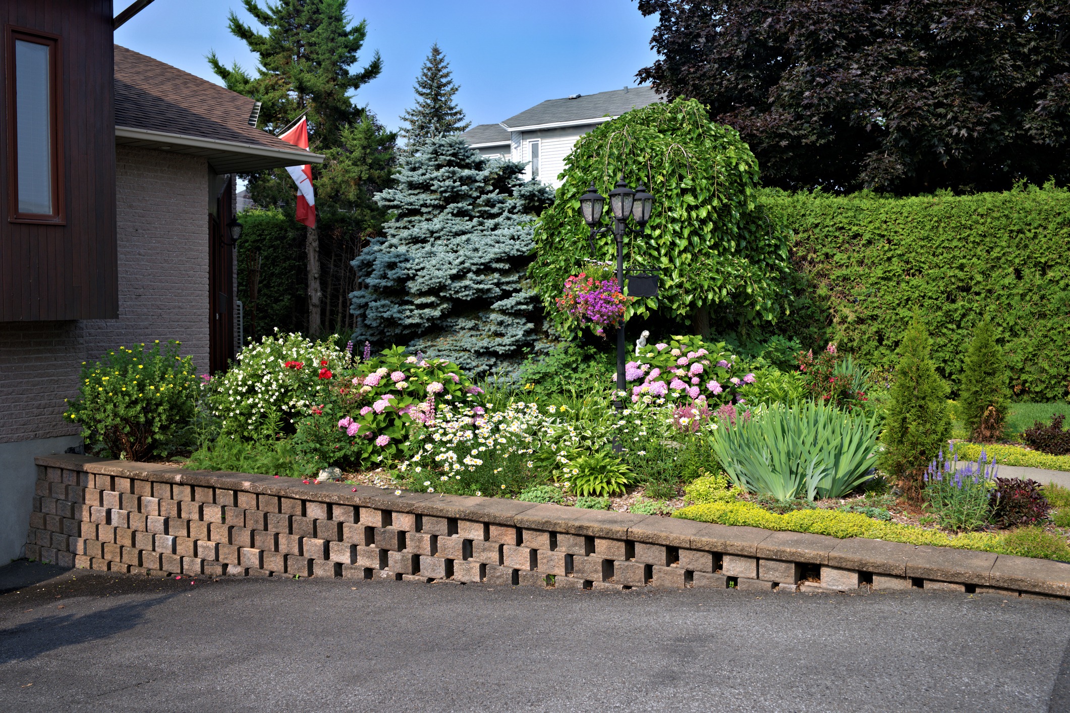 A well-maintained residential garden with flowers, shrubs, and a Canadian flag. A house and lampposts are visible in the background.