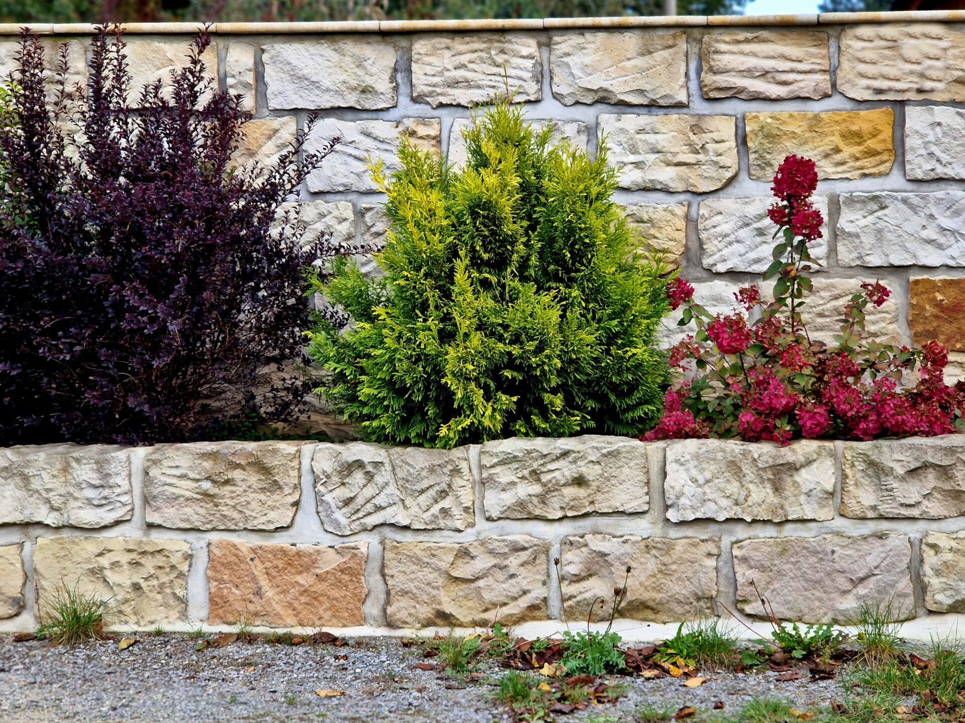 A stone wall features colorful shrubs and flowers in a landscaped garden setting, with a gravel foreground and vibrant greenery.