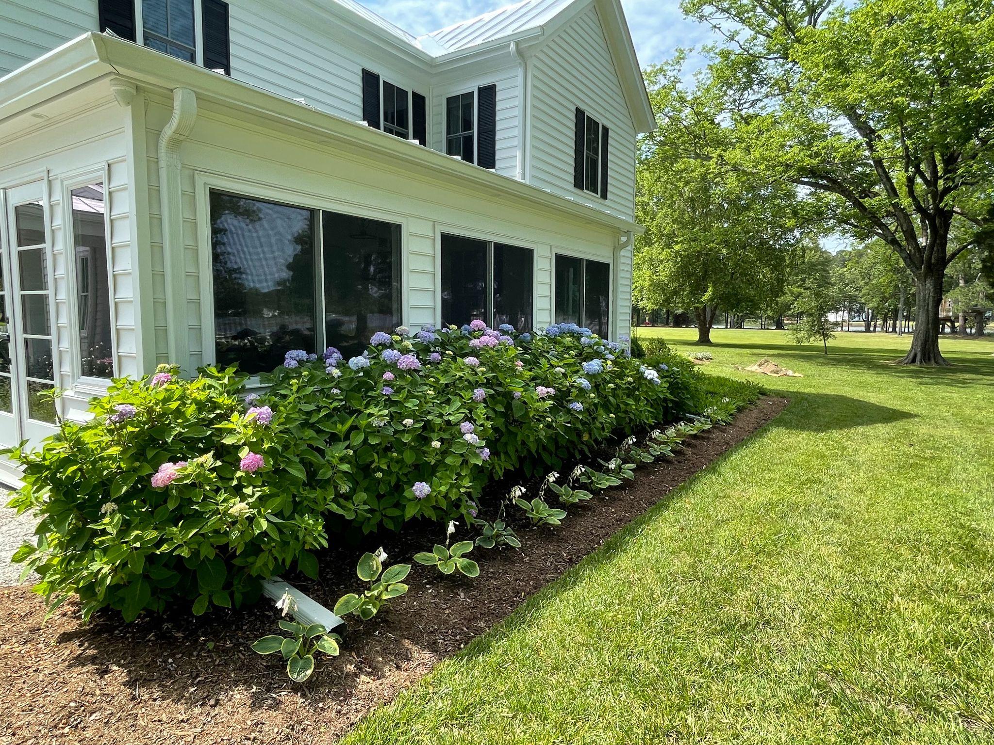White home with hydrangea garden beds and manicured lawn along the foundation